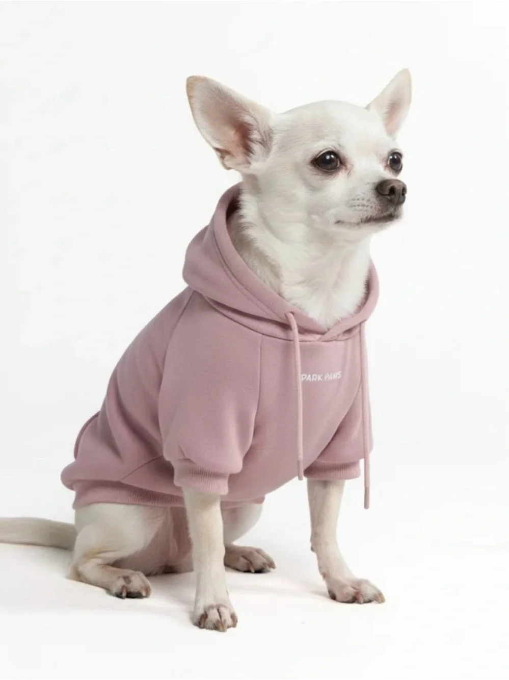 Spark Paws two adorable